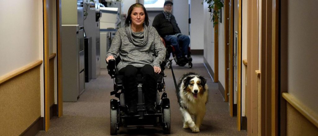 Woman sitting on a wheelhair with a black and white service dog in a leash walking next to her