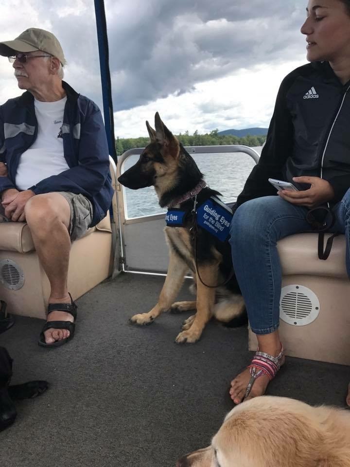 A six-month old puppy in training as it enjoys a pontoon boat tour of Squam Lake.