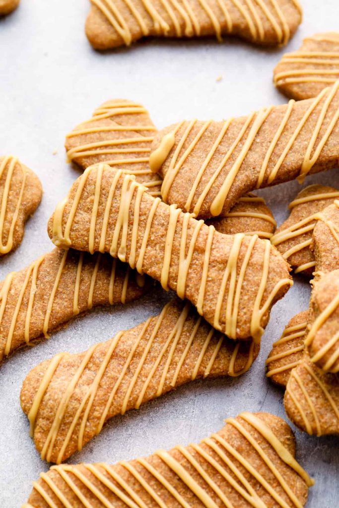 Dog treats bone shaped