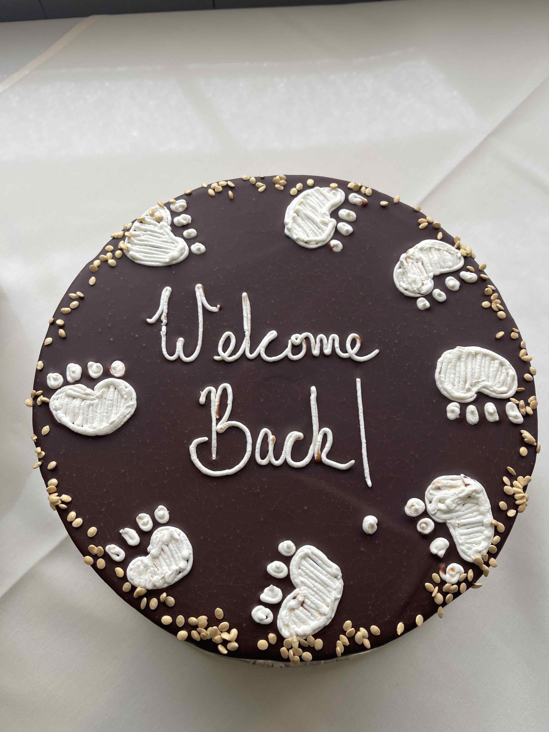 Picture of the welcome back cake, a mandarin orange chocolate cake with white dog foot prints with chocolate frosting" donated by our President, Carol Holmes