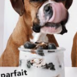 A brown boxer dog with his tongue out licking a parfait