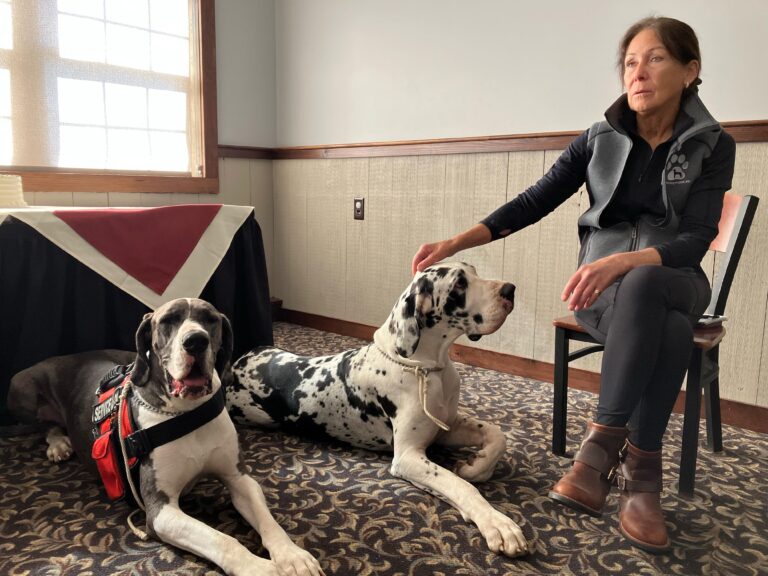 Judy, the trainer and 2 of their great dane dogs