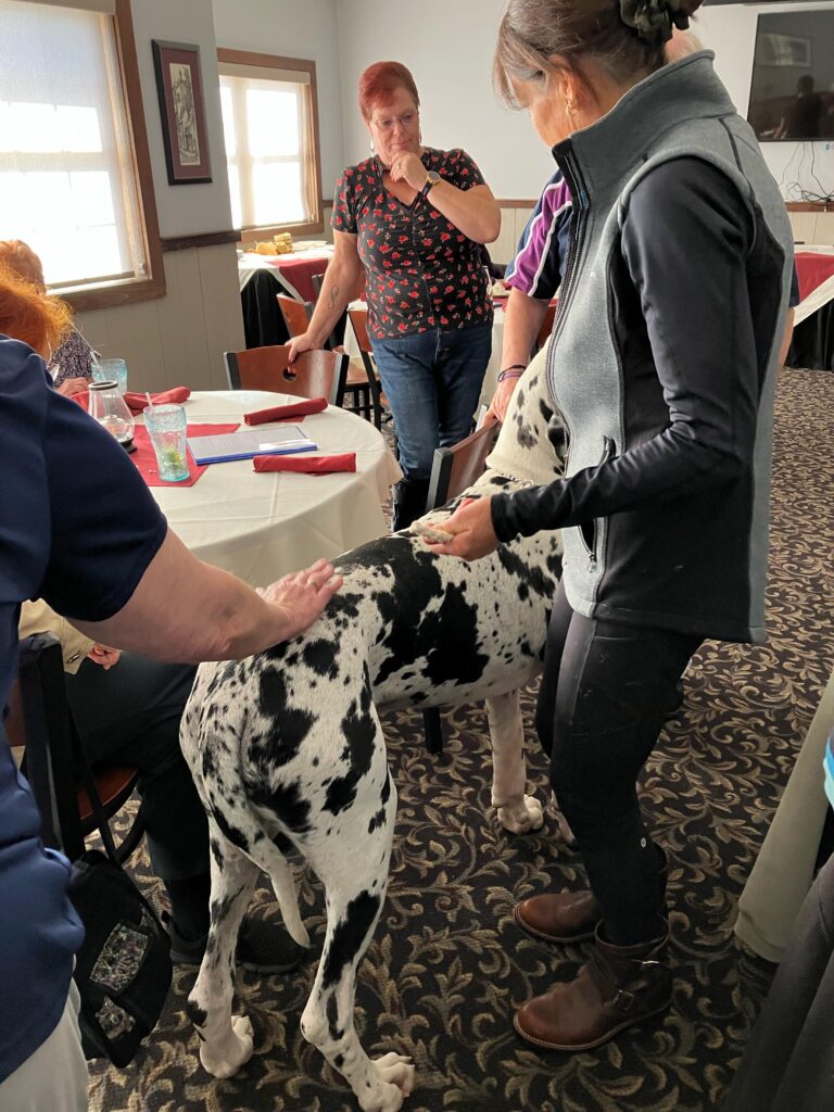 Judy, the trainer stopping by different tables so people can pat and check out the size of the dogs