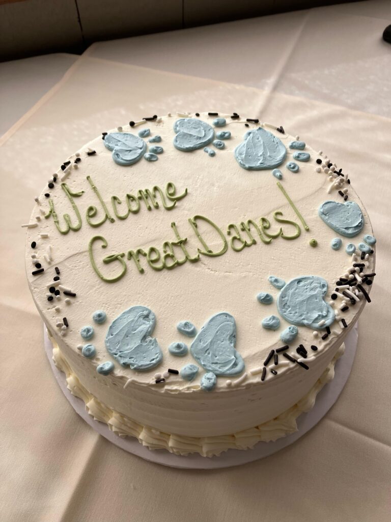 Cake with white butter cream frosting, blue paws and a text in the middle saying "Welcome Great Danes"