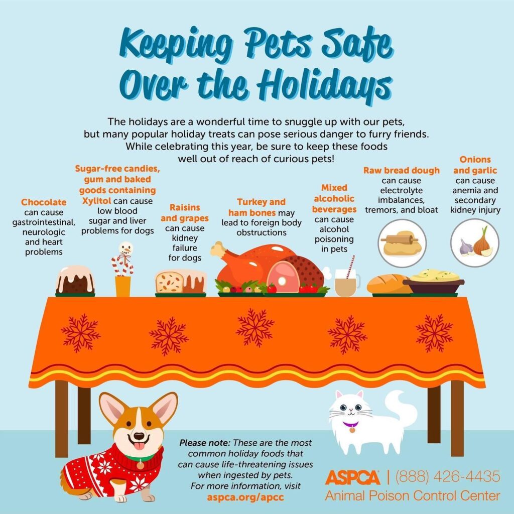 Keeping Pets Safe Over the Holidays - Article from ASPCA