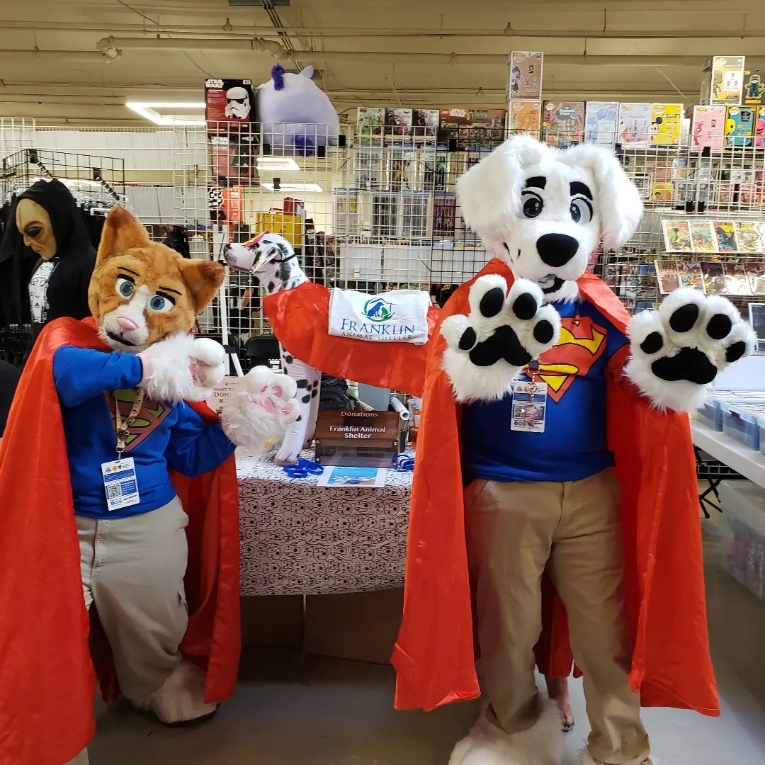 Two characters in custom. one tan cat with a red cape and one white dog also with red cape